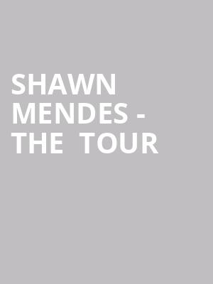 Shawn Mendes - The  Tour at O2 Arena